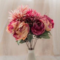 ALB 모란국화, 모란국화_와인피치_c