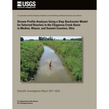 Stream-Porfile Analyses Using a Step-Backwater Model for Selected Reaches in the Chippewa Creek Basin ..., Createspace Independent Publishing Platform