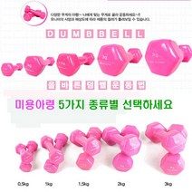 어썸바운드 정품정량 미용아령(핑크), 정품미용아령(한쌍), 0.5kg