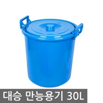 대승산업 대승 다용도 만능용기