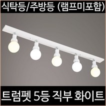 [소노조명]트럼펫 5등 직부 주방등 화이트, 화이트_(램프별도)