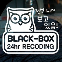부엉이 블랙박스 녹화중 01, 화이트