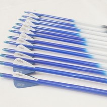 정글맥스 TPT 블루 카본 화살 (12발) 340 [AR-014]