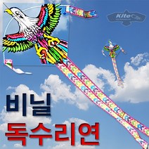 불의나라 위풍당당 독수리 연