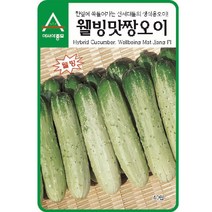 아시아종묘 오이씨앗 웰빙맛짱오이 (40립), 1개