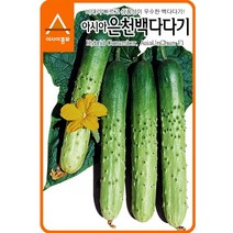 아시아종묘 오이씨앗 신아시아은천오이 (50립)