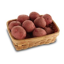 22년 햇 홍감자 빨간감자 적감자, 1개, 홍감자3kg(왕특)