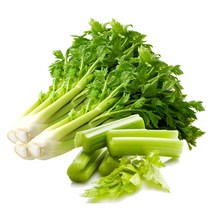 싱싱한 샐러리, 국내산 샐러리 5kg, 1box