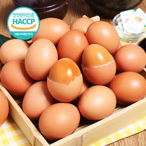 푸르젠 참숯돌에서 구운계란 (개당 45~50g 국산 구운소금증정), 30개