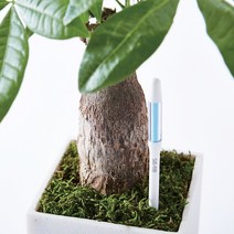 서스티 SUSTEE 일본 화분수분측정기, M(그린), 1개