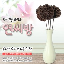 호가 연씨방 연씨밥 연방 연꽃 연밥 연씨 조화 소품, 연씨방 4개세트
