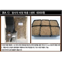 리톱스 나라 씨앗, (BA 1)리톱스씨앗정사각파종1셋트, 1개