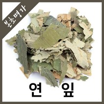 본초명가 연잎 연꽃잎, 600g, 1개