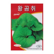 경신종묘 곰취씨앗 왕곰취 1g, 1개