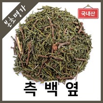 본초명가 측백나무잎 측백엽 측백옆, 1개, 300g