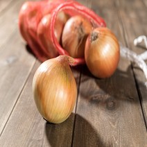 바른상회 단단한 양파, 1개, 양파 10kg 소