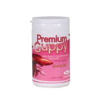 서울아쿠아리움 프리미엄 구피, 30g, 1개