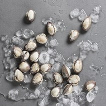 오병이어농산 벌교새꼬막, 1개, 새꼬막1kg(기본)