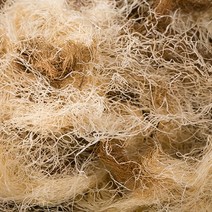 파워푸드 국산 옥발(옥수수수염) 600g 건조 건 말린 차 국내산, 13YE_국산옥발(옥수수수염)600g