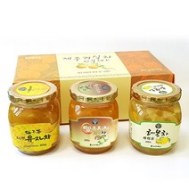 친환경팔도 제주 과실차 세트 5호(유자차300g+뎅유지차300g+레몬차300g), 단품