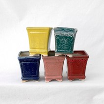 제이팟다육 6색 직사각 칼라 다육이화분 미니 도자기 화분, 빨강