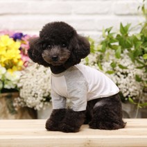 펫디자인 라인나그랑 티셔츠 강아지옷, 2XL