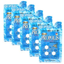 주누하우스 로얄 프로폴리스 목캔디 페퍼민트, 540g, 5개