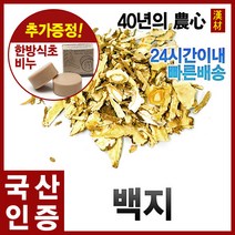 자애인 국산 백지 300g 구릿대뿌리 구릿대 백지차, 단품
