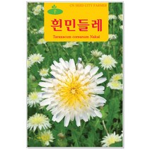 흰민들레씨앗 100립 꽃씨앗, 1개