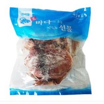 야참푸드 갑오징어-900g(반건조구이용), 1개