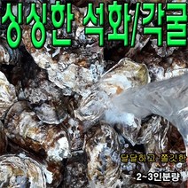 보령 천북굴 공수한 석화2~3인분량 천북 석화5kg, 5kg내외, 1개입