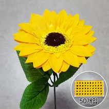 비누꽃 해바라기 50개입 + 잎사귀꽃대, 노랑