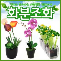 호가 화분조화 호접란 장미 인테리어 조화 화분 장식, 화분조화 호접란(소형-라이트 그린)(-1700원)