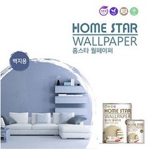 삼화페인트 홈스타 월페이퍼 1L벽지용 페인트, 아이언