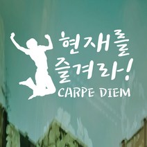 페이퍼스토리 명언스티커 감성글귀 인테리어 매장 카페 아이방 캘리 A28.카르페디엠 스티커, 옐로우그린