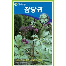 갑조네 민속특수 씨앗 모음, 참당귀(씨앗), 1개