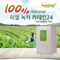 힐링 녹차 카테킨 24 녹차추출분말 폴리페놀 녹차스틱