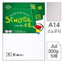 삼원)아트스퀘어 스쿨(A14.스노우지_A4_300g_5매)-포(10개입), 본상품선택