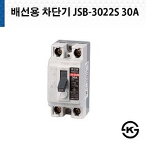 진흥 배선용 차단기 JSB 3022S 30A ( JSB-3022S ), 1개