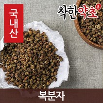 국내산 복분자 300g, 1개