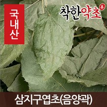 국내산 삼지구엽초(음양곽) 600g, 12WE_국내산 삼지구엽초(음양곽) 600g, 1개