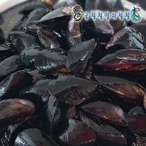 반건조홍합살500g 건홍합 통영산지발송, 1개, 피홍합3kg