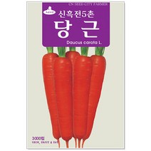 청농종묘 당근 씨앗 3000립 - 채소씨앗 당근씨 당근씨앗, 10_신흑전5촌당근(3000립)
