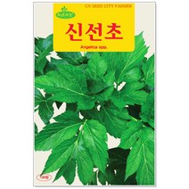 청농종묘 루꼴라 시금치 씨앗 3000립 로켓샐러드 루꼴라씨앗, 21_신선초(100립 )