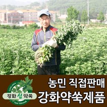 강화도토박이 강화약쑥 강화사자발쑥 강화사자발약쑥 쑥즙, 1박스, 01. 강화약쑥 진액 30포