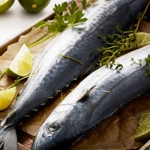제주어가 비리지 않은 청정제주 손질 삼치 대 10팩 (팩당 300g 이상) 생선, 1팩당 300g이상, 1팩