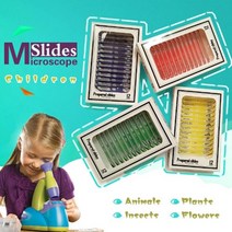 현미경 표본 12종 set - 채소 RS1