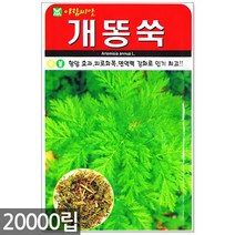 청농종묘 땅콩호박 씨앗 10립 땅콩호박씨앗 땅콩호박씨 호박씨앗 호박씨, 10_개똥쑥(10000립)