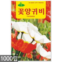 연꽃 씨앗 10립 / 연꽃씨앗 연꽃씨 꽃씨앗 꽃씨 씨 야생화씨앗 야생화 야생꽃씨, 10_청농_꽃양귀비(1000립)