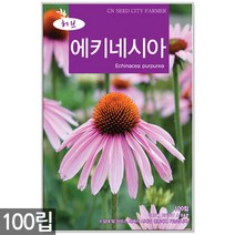 에키네시아 씨앗 100립 / 허브씨앗 에키네시아씨앗 허브씨 허브 여름꽃씨 씨, 05_허브_루(150립)